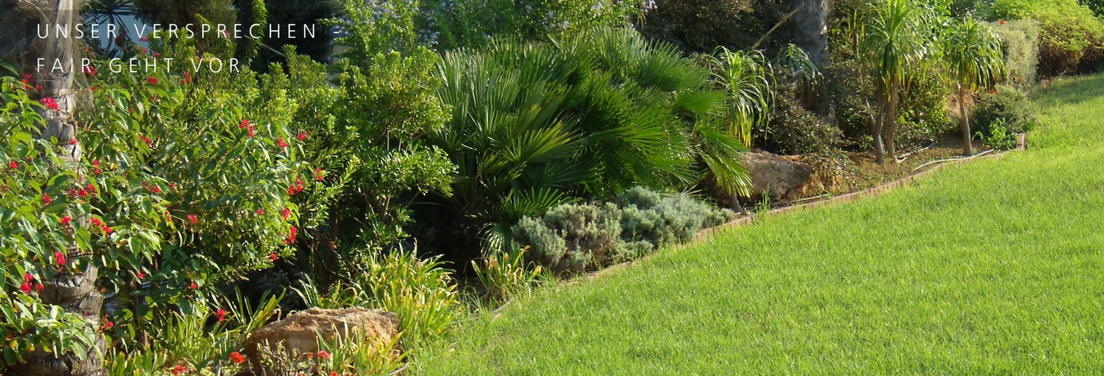 Strukturierte Gartenrabatte mit Wegf&uuml;hrung und gepflegter Bepflanzung