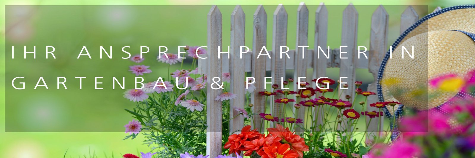 Blumenbeet mit Holzzaun und freundlicher Gartenszene